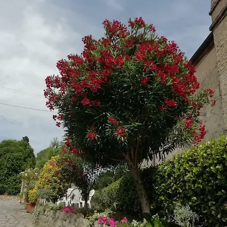 Al Borgo Oda ve Kahvaltı Arqua Petrarca